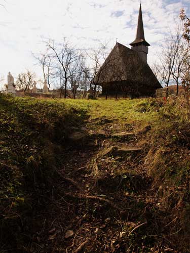 Foto Biserica Sfintii Arhangheli din Ungureni (c) Petru Goja